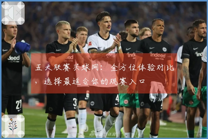 五大联赛买球网:全方位体验对比,选择最适合你的观赛入口
