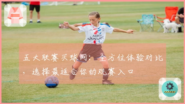 五大联赛买球网：全方位体验对比，选择最适合你的观赛入口