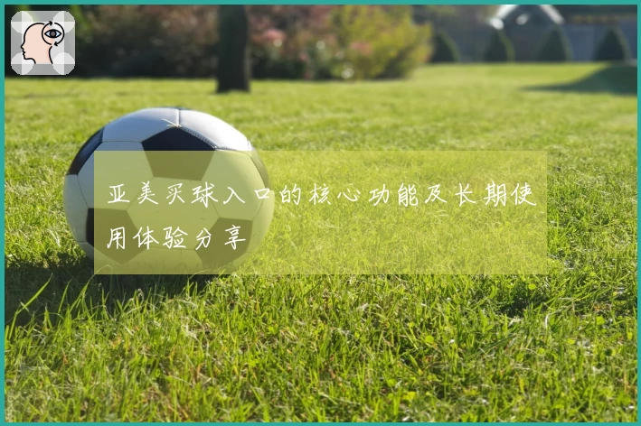 亚美买球入口的核心功能及长期使用体验分享