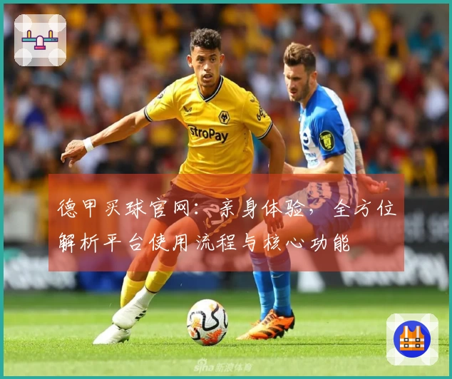 德甲买球官网：亲身体验，全方位解析平台使用流程与核心功能